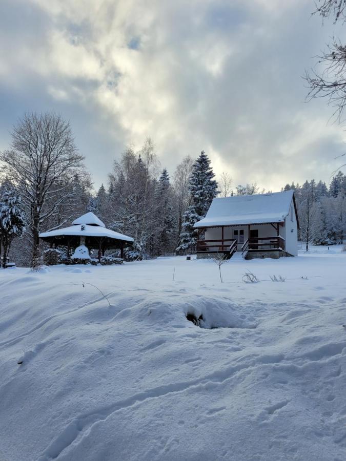 Holiday home Henrykowo Stronie Slaskie