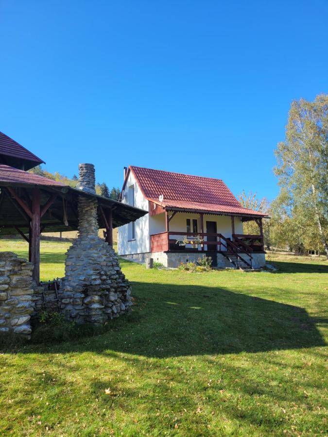 Henrykowo Holiday home *