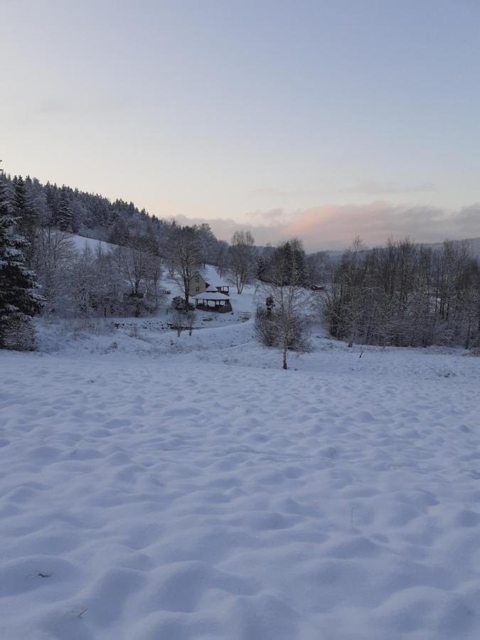 Henrykowo Holiday home *