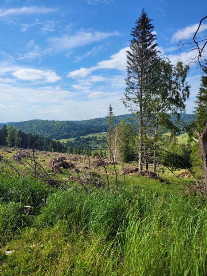 Ferienhaus Henrykowo *