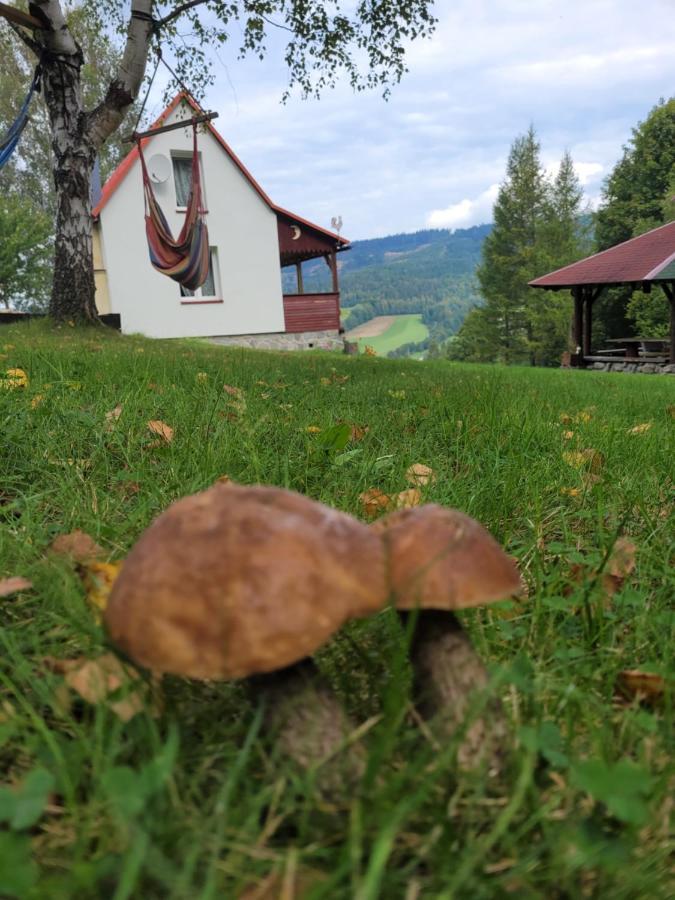 Holiday home Henrykowo Stronie Slaskie