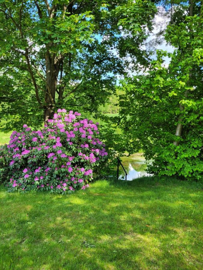 Holiday home Henrykowo Stronie Slaskie